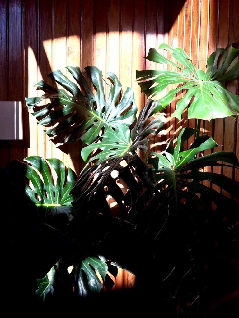 Residencial Moderna Hostel Torres Vedras Bagian luar foto